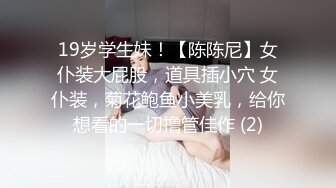 19岁学生妹！【陈陈尼】女仆装大屁股，道具插小穴 女仆装，菊花鲍鱼小美乳，给你想看的一切撸管佳作 (2)