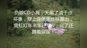 伪娘CD小舞，天黑了请干点坏事，穿上连体黑丝袜露出，霓虹灯车来车往撸JJ，完了还蹲着尿尿！