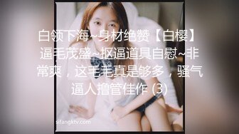 白领下海~身材绝赞【白樱】逼毛茂盛~抠逼道具自慰~非常爽，这毛毛真是够多，骚气逼人撸管佳作 (3)