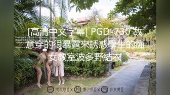 [高清中文字幕] PGD-730 故意穿的很暴露來誘惑學生的痴女教室波多野結衣