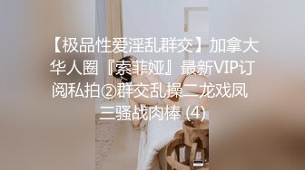 【极品性爱淫乱群交】加拿大华人圈『索菲娅』最新VIP订阅私拍②群交乱操二龙戏凤 三骚战肉棒 (4)