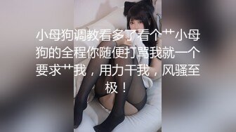 小母狗调教看多了看个艹小母狗的全程你随便打骂我就一个要求艹我，用力干我，风骚至极！