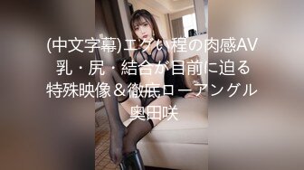 (中文字幕)エグい程の肉感AV 乳・尻・結合が目前に迫る特殊映像＆徹底ローアングル 奥田咲