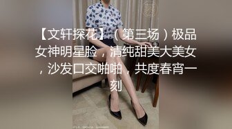 【文轩探花】（第三场）极品女神明星脸，清纯甜美大美女，沙发口交啪啪，共度春宵一刻