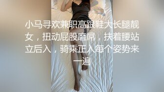 小马寻欢兼职高跟鞋大长腿靓女，扭动屁股磨屌，扶着腰站立后入，骑乘正入每个姿势来一遍