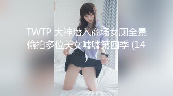 TWTP 大神潜入商场女厕全景偷拍多位美女嘘嘘第四季 (14)