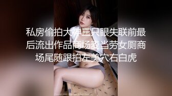 私房偷拍大神三只眼失联前最后流出作品商场麦当劳女厕商场尾随跟拍左美穴右白虎