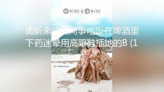 请新来的女同事吃饭在啤酒里下药迷晕用高跟鞋插她的B (1)