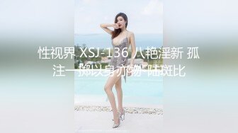 性视界 XSJ-136 八艳淫新 孤注一掷以身亦物-陆斑比