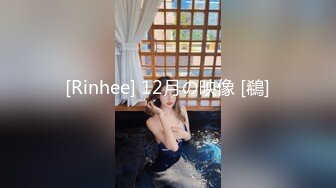 [Rinhee] 12月の映像 [鵗]