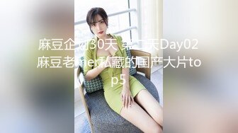 麻豆企划30天 第二天Day02麻豆老mer私藏的国产大片top5