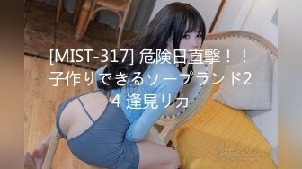 [MIST-317] 危険日直撃！！子作りできるソープランド24 逢見リカ