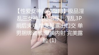 【性爱女神淫荡母狗】极品淫乱三女神『林淑芬』淫乱3P前后夹鸡 摩天轮露出口交 单男捆绑调教 爆操内射 完美露脸 (1)