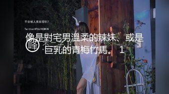 像是對宅男溫柔的辣妹、或是巨乳的青梅竹馬。 1