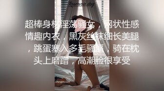 超棒身材淫荡骚女，网状性感情趣内衣，黑灰丝袜细长美腿，跳蛋塞入多毛骚逼，骑在枕头上磨蹭，高潮脸很享受