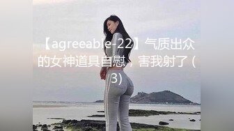 【agreeable-22】气质出众的女神道具自慰，害我射了 (3)