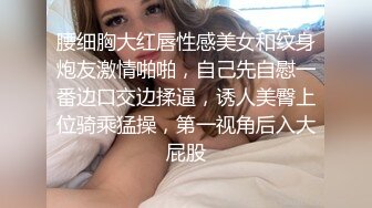 腰细胸大红唇性感美女和纹身炮友激情啪啪，自己先自慰一番边口交边揉逼，诱人美臀上位骑乘猛操，第一视角后入大屁股