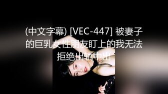 (中文字幕) [VEC-447] 被妻子的巨乳女性朋友盯上的我无法拒绝出轨中出