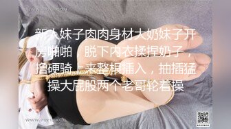 新人妹子肉肉身材大奶妹子开房啪啪，脱下内衣揉捏奶子，撸硬骑上来整根插入，抽插猛操大屁股两个老哥轮着操