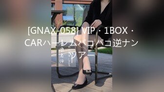 [GNAX-058] VIP・1BOX・CARハーレムパコパコ逆ナンツアー