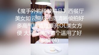 《魔手外购稀缺精品》西餐厅美女如云高级坐厕清晰偸拍好多高气质精致漂亮OL美女方便 大屁股美眉擦个逼用了好多纸 (4)