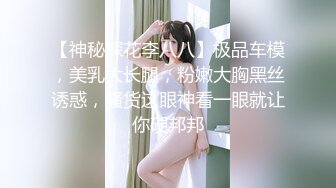 【神秘探花李八八】极品车模，美乳大长腿，粉嫩大胸黑丝诱惑，骚货这眼神看一眼就让你硬邦邦