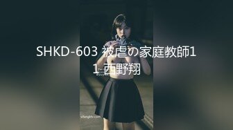 SHKD-603 被虐の家庭教師11 西野翔