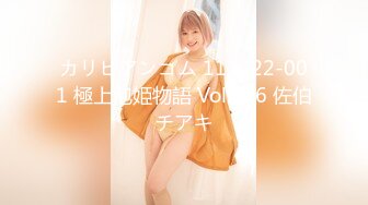 カリビアンコム 111222-001 極上泡姫物語 Vol.106 佐伯チアキ