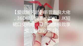 【爱欲随风起】新晋泡良大佬，36D极品良家小姐姐，JK短裙口交啪啪，肤白貌美极致享受，佳作必下 (3)