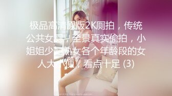 极品高清原版2K厕拍，传统公共女厕，全景真实偸拍，小姐姐少妇熟女各个年龄段的女人大小便，看点十足 (3)