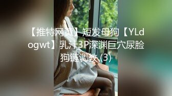 【推特网黄】短发母狗【YLdogwt】乳汁3P深渊巨穴尿脸狗链调教 (3)