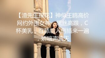 【渣先生探花】神似王鸥高价网约外围女神，黑丝高跟，C杯美乳，互舔后入侧插来一遍，娇喘声震天