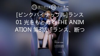 [ピンクパイナップル]ランス01 光をもとめて THE ANIMATION 第3話「ランス、断つ！！